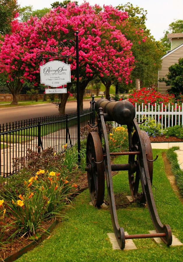 Rising Sun Bed And Breakfast Natchez Exteriér fotografie